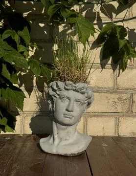 Bust Planter with Grass on Rustic Background Stock Photos