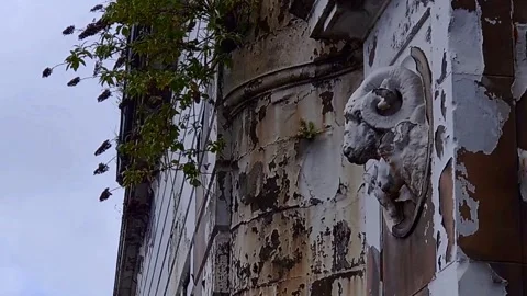 Bust of a rams head on the remains of an old building Video stock 200213070