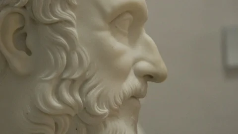 Bust Statues Close Stock Footage 119275952