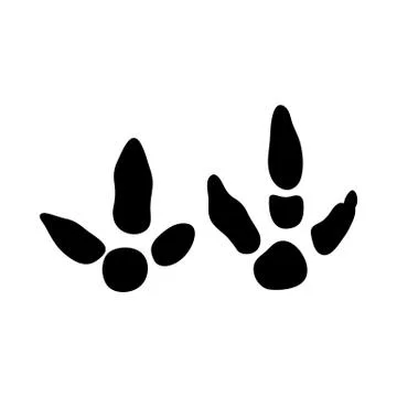 Bustard Footprint Stock Illustration