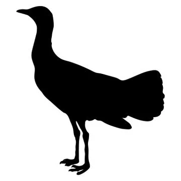 Bustard Ilustración de archivo