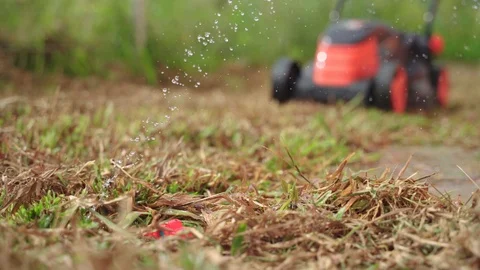 Busted and broken water pipe in yard Video stock 117288113
