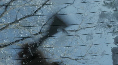 Busting Ice Scraping on Rear Windshield Blue Sky Winter Stock Footage 59790779