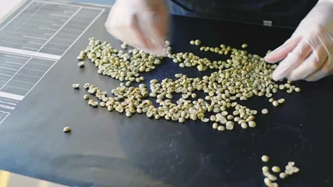 Busting raw coffee beans. Vídeos de archivo 142280214