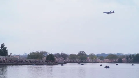 Bustling Activity at Jefferson Memorial Waterfront, Cherry Blossoms in Bloom Stock Footage 300213433