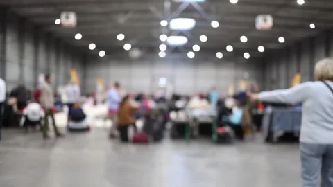A bustling dog show event inside a spacious hall, filled with handlers, particip Stock Footage 294774434