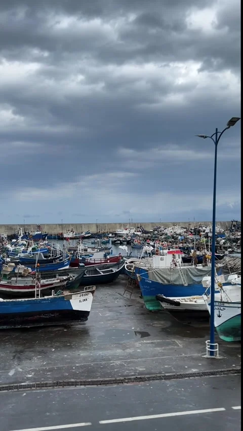 Bustling Harbor Scene: Vertical Video for Social Media. Stock-Footage 303149063