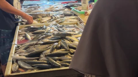 A bustling marketplace showcasing an abundant array of freshly caught seafo.. Vídeo Stock 325259188