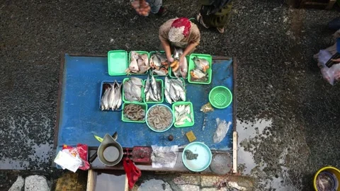 Bustling Overnight Fish Trading Activity at Traditional Market Before Dawn Stock Footage 340253955
