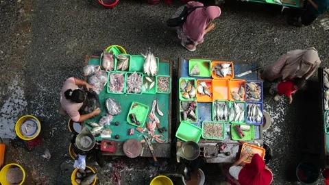 Bustling Overnight Fish Trading Activity at Traditional Market Before Dawn 動画素材 340253973