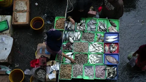 Bustling Overnight Fish Trading Activity at Traditional Market Before Dawn Stock Footage 340254216