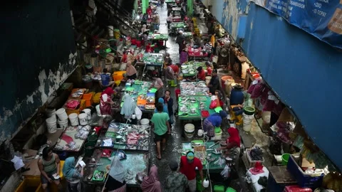 Bustling Overnight Fish Trading Activity at Traditional Market Before Dawn Stock Footage 340254238