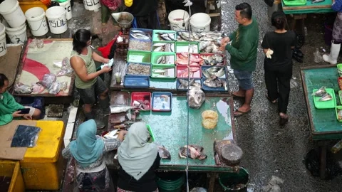Bustling Overnight Fish Trading Activity at Traditional Market Before Dawn Stock Footage 340254241