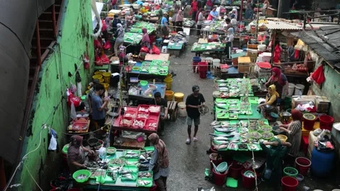Bustling Overnight Fish Trading Activity at Traditional Market Before Dawn Stock Footage 340254858