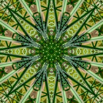 Busy angular design created from a green bridge in California on a summer day 写真素材