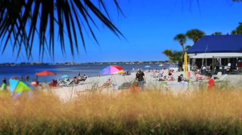 Busy beach day Stock Footage 2923321
