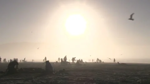 Busy Beach Fun in the Sun Stock-Footage 46717673