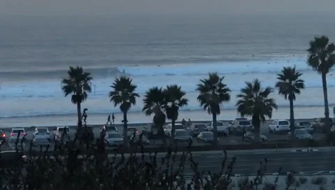 Busy Beach with Palm Trees SD Stock Footage 175904093
