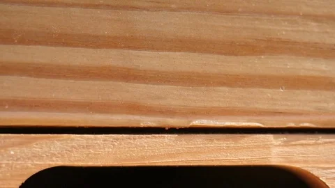 Busy Bee Hive on a Warm Georgia Morning Stock Footage 75363623
