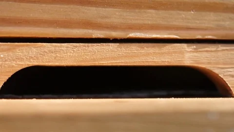 Busy Bee Hive on a Warm Georgia Morning Stock Footage 75363974