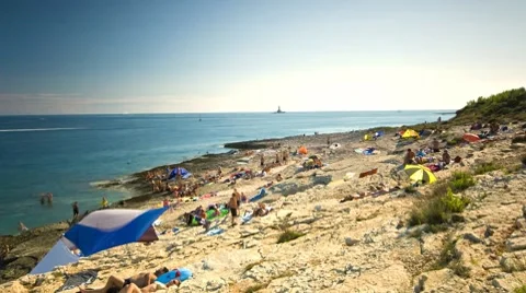 Busy bees on the beach Video stock 7909954