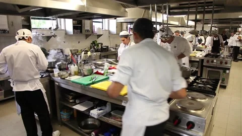 Busy chefs cooking in kitchen Stockbeeldmateriaal 102066983