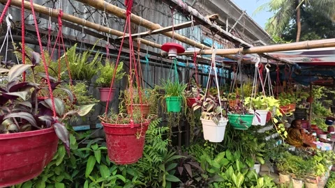 Busy city streets small temporary nurseries bring a touch of nature Stock Footage 319220872