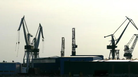 Busy crans Video stock 682173