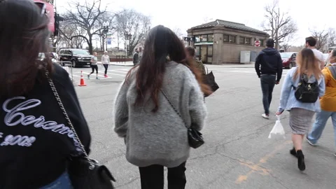 BUSY CROSS WALK 스톡 동영상 179972491