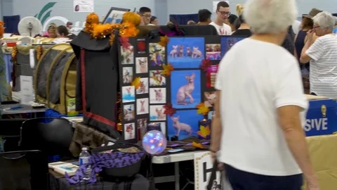 Busy crowd at 2017 Ottawa cat show Stock Footage 80392849