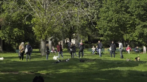 Busy /crowded park near Eiffel tower after coronavirus quarantine 4K Stock Footage 130145565