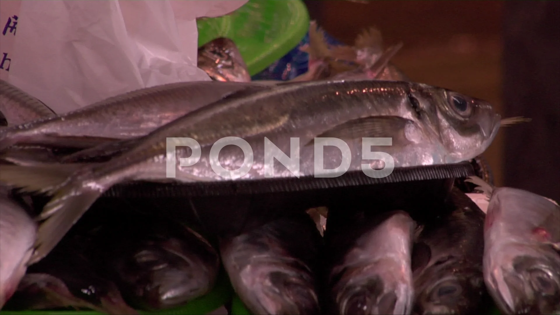 A Busy Fish Market In Fukuoka Japan Stock Video Pond5