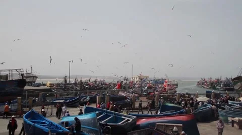 Busy Harbor in Morocco Vidéo 52934338