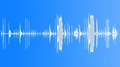 Busy Kitchen StingerSound Effect