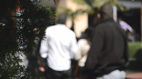 Busy Mall Stock Footage 49803489