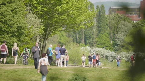 Busy park during lockdown 02 Stock Footage 130661713