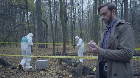 Forense Forense Forense Forense Forense Forense Forense Forense Stock ...