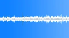 Busy Restaurant AmbienceSound Effect
