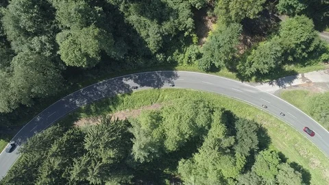Busy road going through dense woodland in Germany countryside drone aerial 4k Video stock 114153078