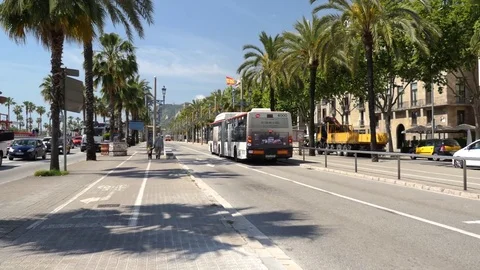 Busy road surrounded by palm trees Video stock 75689589