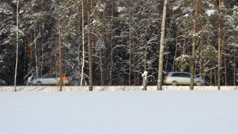 Busy road in a winter forest Stock Footage 148130121