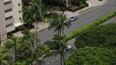 A Busy Street Stock Footage 105258785