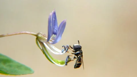 Busy time Stock Footage 233889732