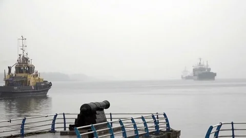Busy traffic on the river. Tugs in the work. Stock Footage 69899477