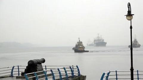 Busy traffic on the river. Tugs in the work. Storm warning in the Navy. Stock Footage 69899775