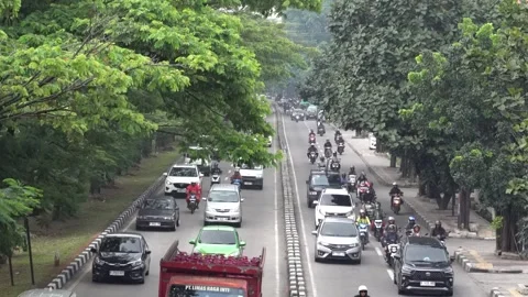 Busy Traffic on Tree-Lined Divided Highway Stock Footage 343774607