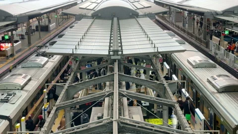 Busy train platform with commuters boarding and disembarking trains. Stock Footage 250498743