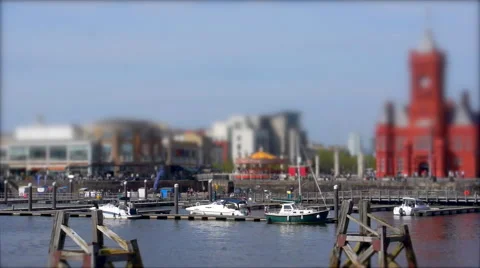 Busy Waterfront. Tilt Shift Timelapse. 스톡 동영상 56023028