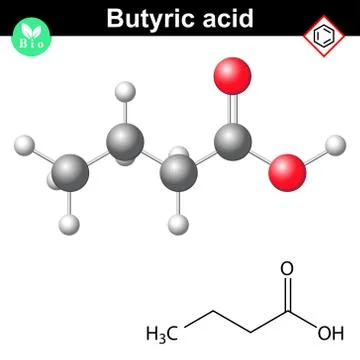 Butanoic acid molecule Stock Illustration