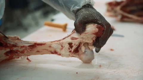 The butcher cut up the carcass. Close up. Stock Footage 87137666